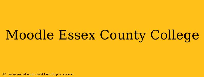 Moodle Essex County College