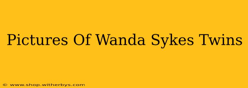 Pictures Of Wanda Sykes Twins