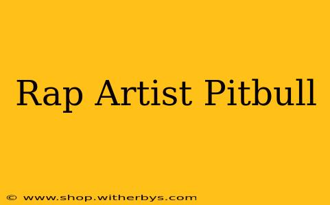 Rap Artist Pitbull