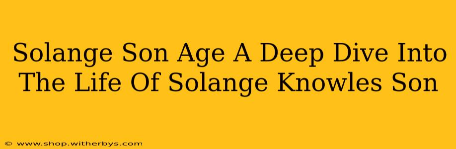 Solange Son Age A Deep Dive Into The Life Of Solange Knowles Son