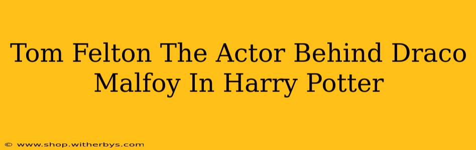 Tom Felton The Actor Behind Draco Malfoy In Harry Potter
